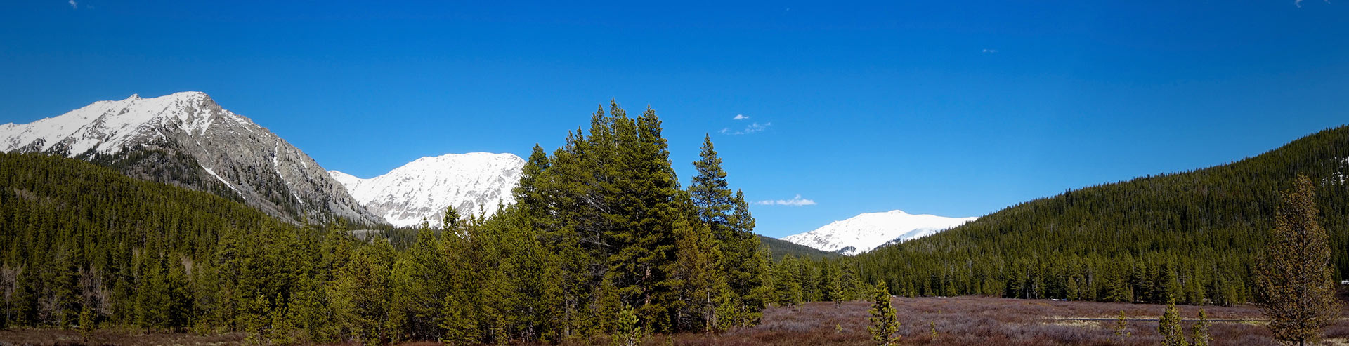 AEI Base Camp Forms