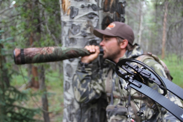 Midday Madness – A Frenzied Elk Calling Strategy